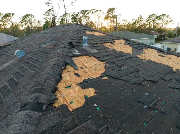 Best Skylight Installation and Repair  in Old River Winfree, TX